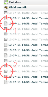 Oldal- és a szakaszverziók az Oldal verziók panelben