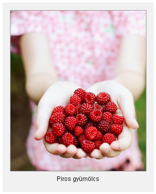 Kép, képaláírással sablon