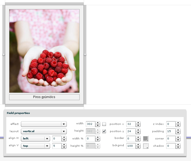 Képaláírás sablon tulajdonságai